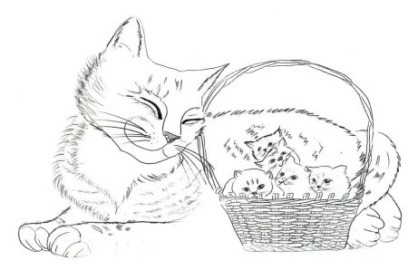Котенок. Раскраска