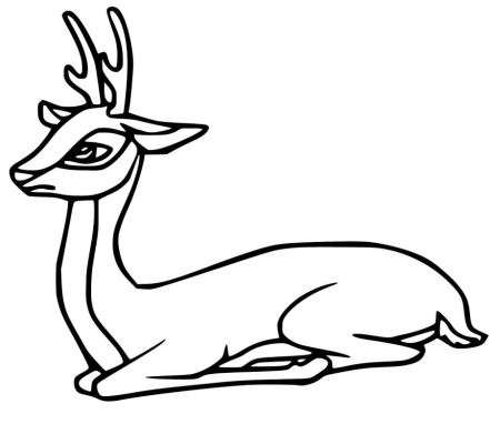 Европейская косуля раскраска