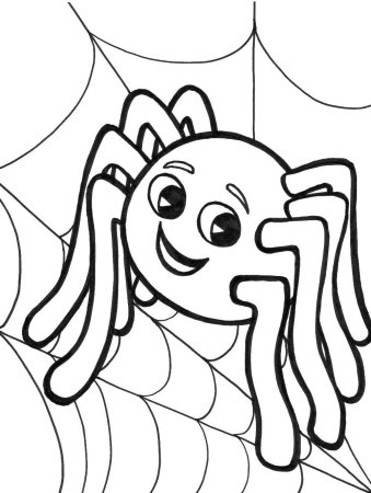 Паучок раскраска для детей