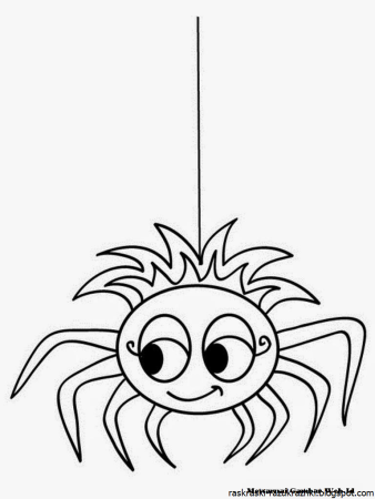 Паук раскраска