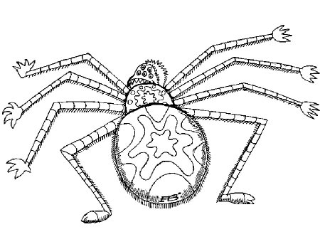 Раскраска паучок