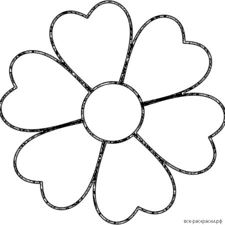 Раскраска цветок Ромашка