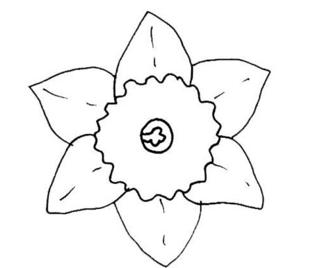 Раскраска цветок без стебля