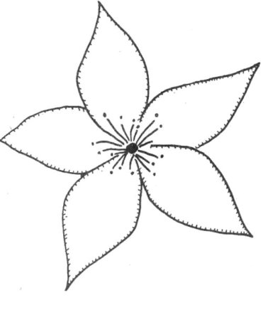 Раскраска цветок без стебля