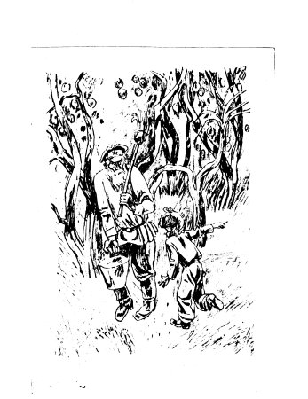 Горячий камень Гайдар раскраска