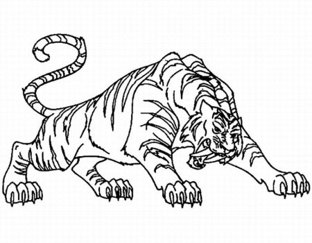 Тигр. Раскраска