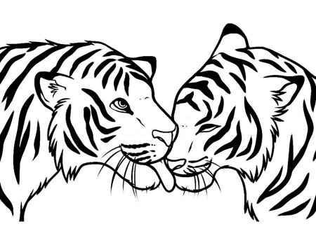 Саблезубый тигр раскраска