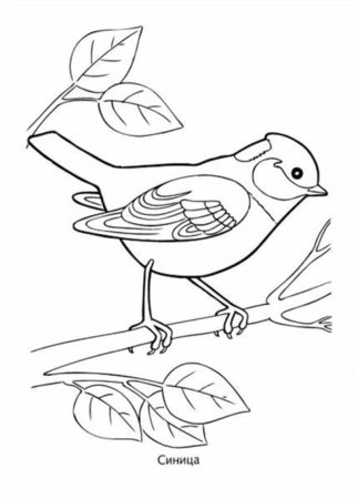 Снегирь раскраска