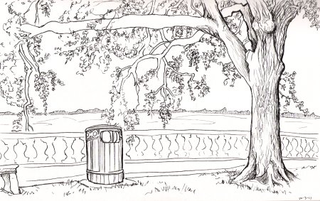 Раскраска парк