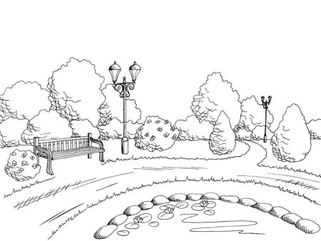 Раскраска осенний лес