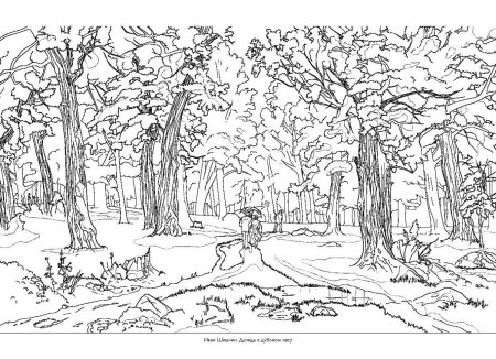 Набросок рисунок осень