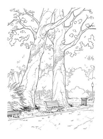 Сквер раскраска