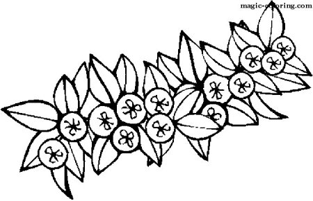 Ядовитые растения описание