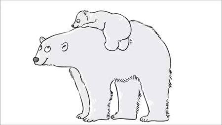Белый медведь раскраска