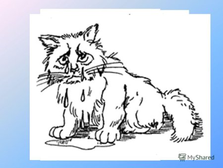 Кот наплакал рисунок