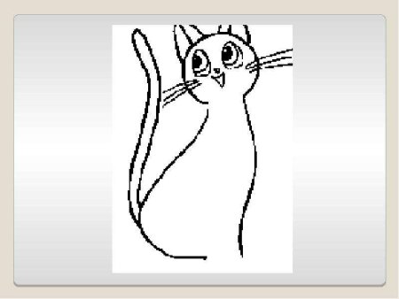 Кот наплакал рисунок