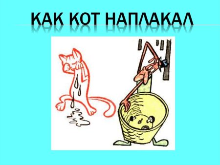 Кот наплакал