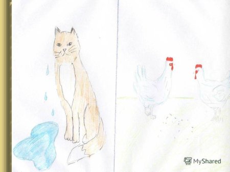 Кот наплакал рисунок