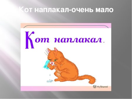 Кот наплакал