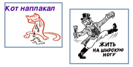 Картинка к фразеологизму кот наплакал