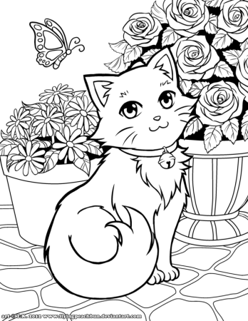 Котенок раскраска для детей