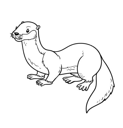 Выдра раскраска