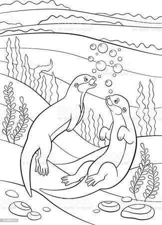 Выдра раскраска для детей в цвете