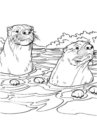 Выдра с рыбой раскраска