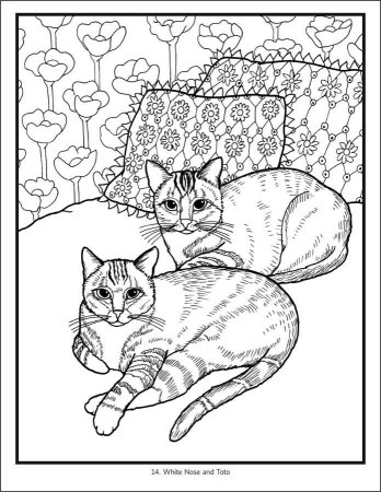 Котенок. Раскраска