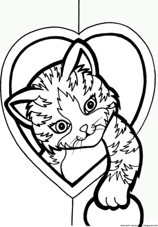 Раскраски коты