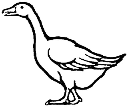 Гусь раскраска