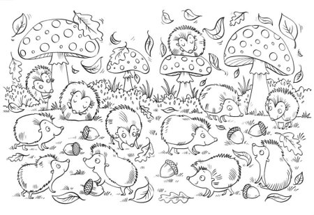 Раскраска Ёжик