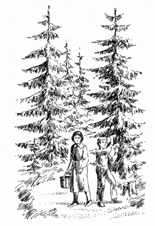 Паустовский корзина с еловыми шишками