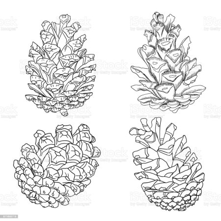 Иллюстрация корзина с еловыми шишками легко