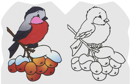 Снегирь на ветке раскраска