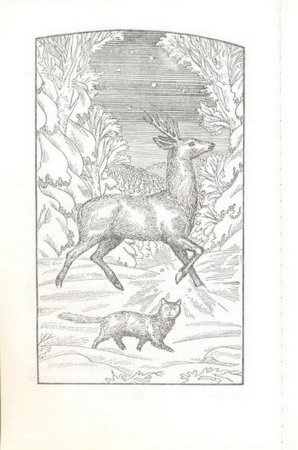 Серебряное копытце раскраска