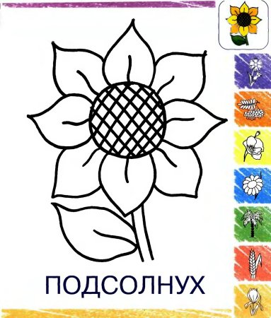 Подсолнух черно белый