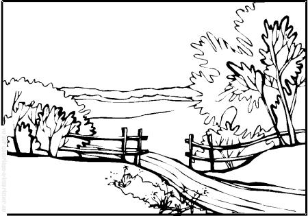 Раскраска лес природа