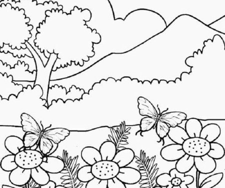Раскраска природа