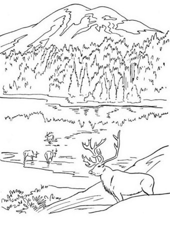 Раскраска красота родной природы