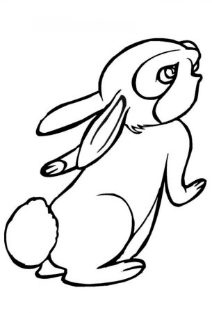 Заяц рисунок карандашом для детей