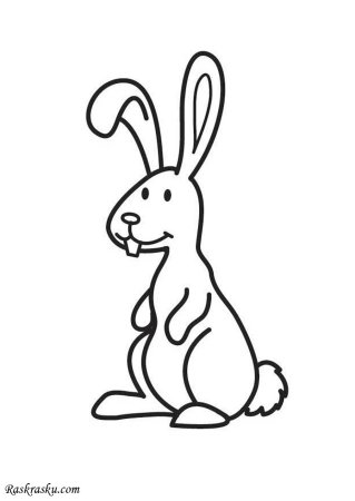 Заяц раскраска