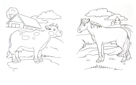 Раскраска пейзаж животные