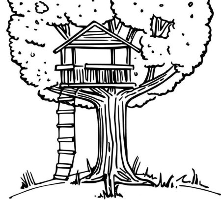 Раскраска дом на дереве