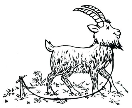 Коза Дереза раскраска
