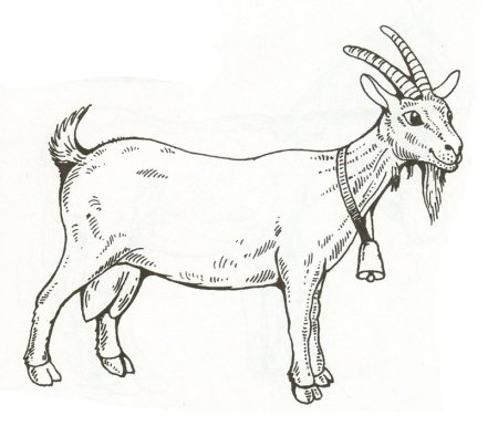 Коза раскраска