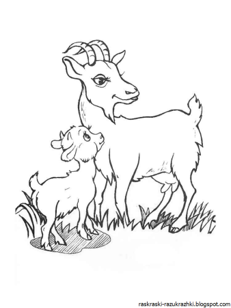 Козленок раскраска