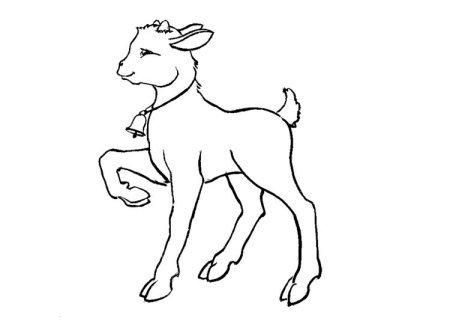 Коза раскраска для малышей