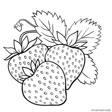 Клубника раскраска