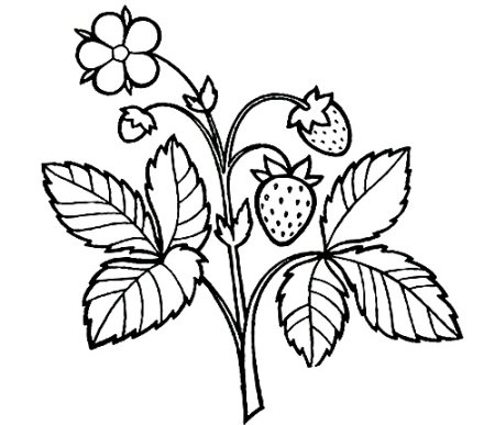 Землянка раскраска для детей